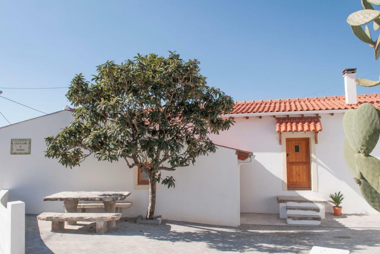 Casa De Campo De Oliveiras Penela Eksteriør billede