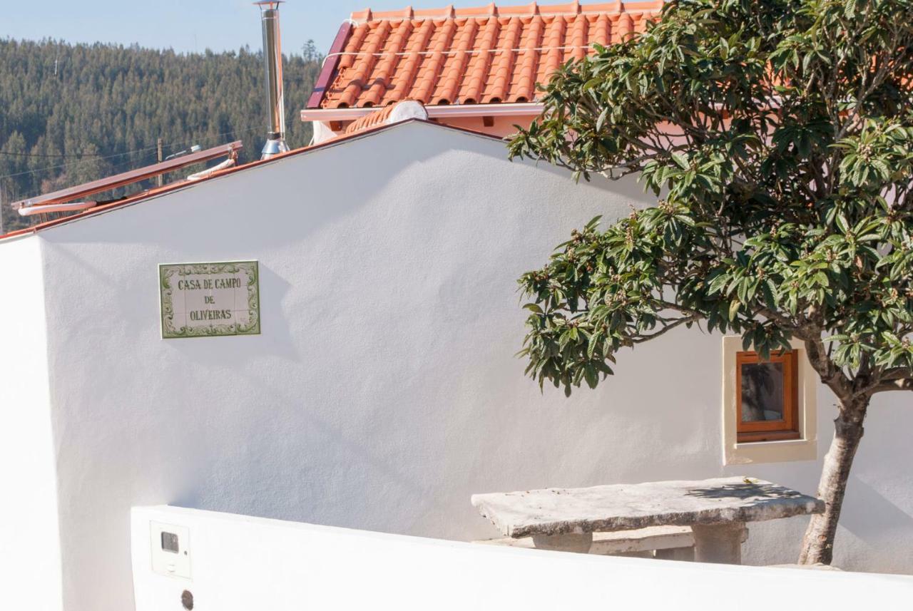 Casa De Campo De Oliveiras Penela Eksteriør billede