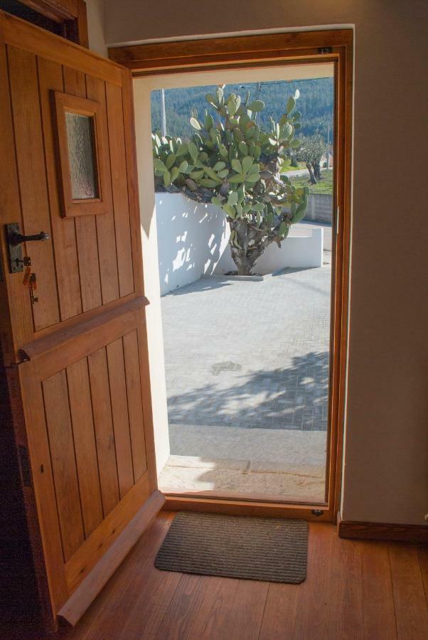 Casa De Campo De Oliveiras Penela Eksteriør billede